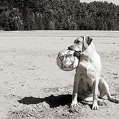 photo "Let`s play?..."