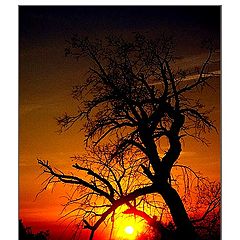 фото "Hot Sunset"