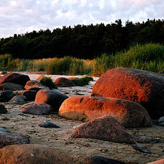 photo "Stones"