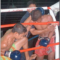 фото "Boxing"