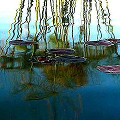 photo "Lake reflections"