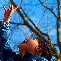 photo "Reaching the sky..."