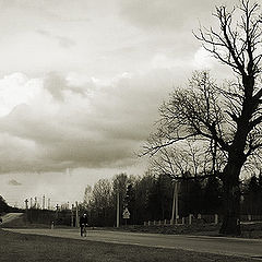 фото "Early spring in central europe contryside"