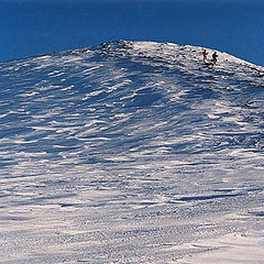 photo "... And on descent the wings have grown"