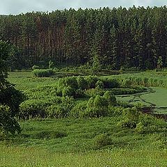 photo "Russian open spaces 4"