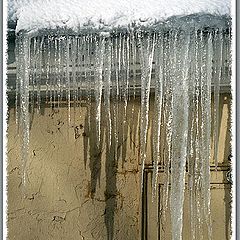 photo "Nostalgy about winter: icicle"