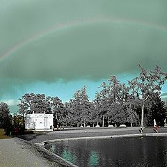 photo "Rainbow in the park"