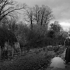 photo "Man and Hay"