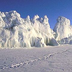 photo "Antarctic and summer."