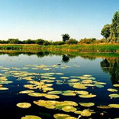 photo "The Ukraine River Story"