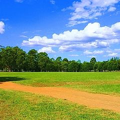 photo "Grassland"