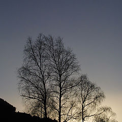 фото "Пейзаж"