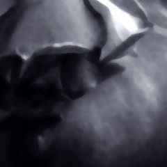 photo "Secret of twilight.. Or one more word about love.."