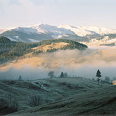 photo "Below - November mists"