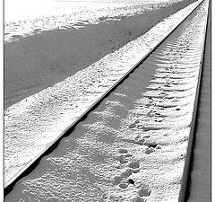 фото "Tracks in Snow"