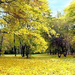 photo "The autumn has generously scattered gold..."