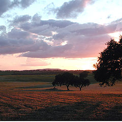 photo "at the close of day"