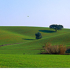 фото "Alentejo"