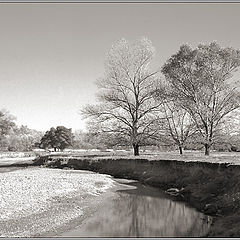 photo "The former river-bed"