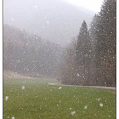 photo "It`s snowing hard..."