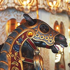 фото "The Carousel 1"