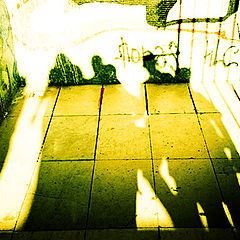 фото "Shadows"