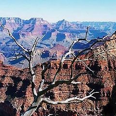 фото "Great Grand Canyon"