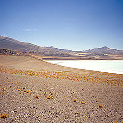 фото "Atacama`s desert"