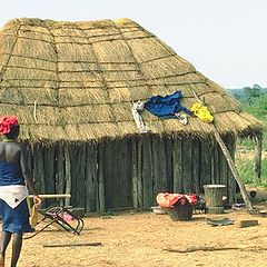 photo "Stiffened time. Africa."