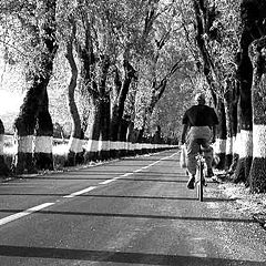 photo "The cyclist"