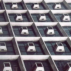 photo "Windows"