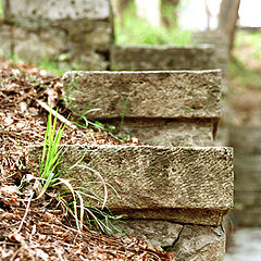 photo "Steps"