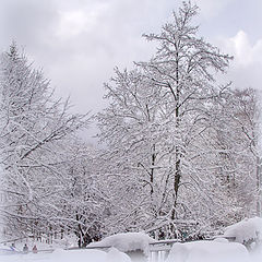 photo "Winter March"