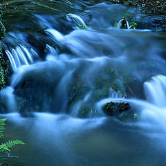 фото ""Water...""