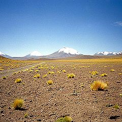 фото "Atacama`s desert"