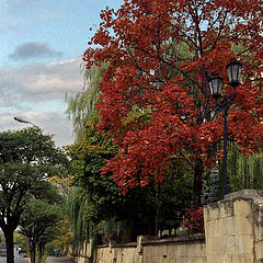 photo "Beauty of autumn Kislovodsk"