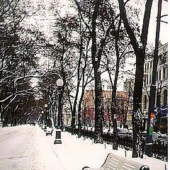 фото "Конец  Февраля , сердце просит весны  ....."