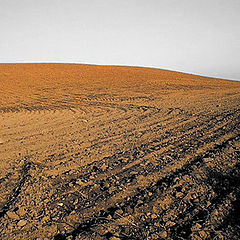 photo "Latvian Desert"