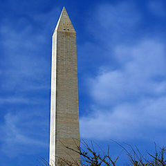 фото "Springtime in Washington"