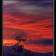 фото "San Francisco Sunset"