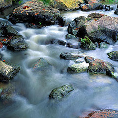 photo "Stream of water."