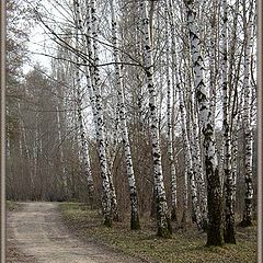 фото "Родная сторона"