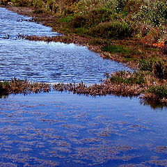 фото "Mother Nature #1"