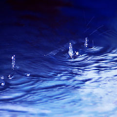 фото "Drops of jupiter"