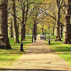 фото "Springtime in Green Park"