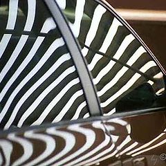 фото ""Zebra""