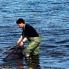 photo "River`s Fisherman"