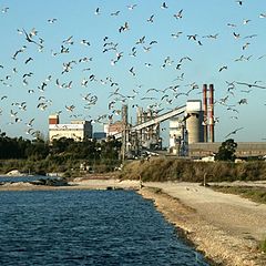 photo "The birds and the factory"