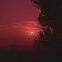 photo "Crimson sunset"