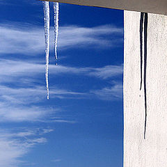 фото "icicle"